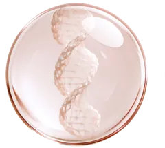 Collagen triple helix