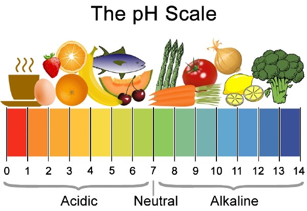 ph level of foods