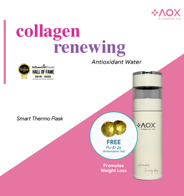 AOX SMART Thermo-Flask (450 ml)