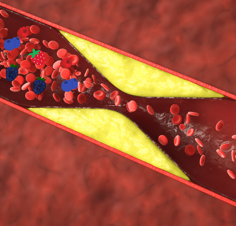 Illustration of an artery with plaque buildup and antioxidants, represented by berries, actively supporting blood flow. The AOX logo in the corner emphasizes the role of antioxidants in managing atherosclerosis naturally.