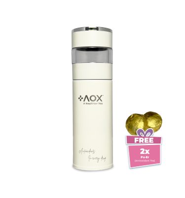 AOX SMART Thermo-Flask (450 ml)